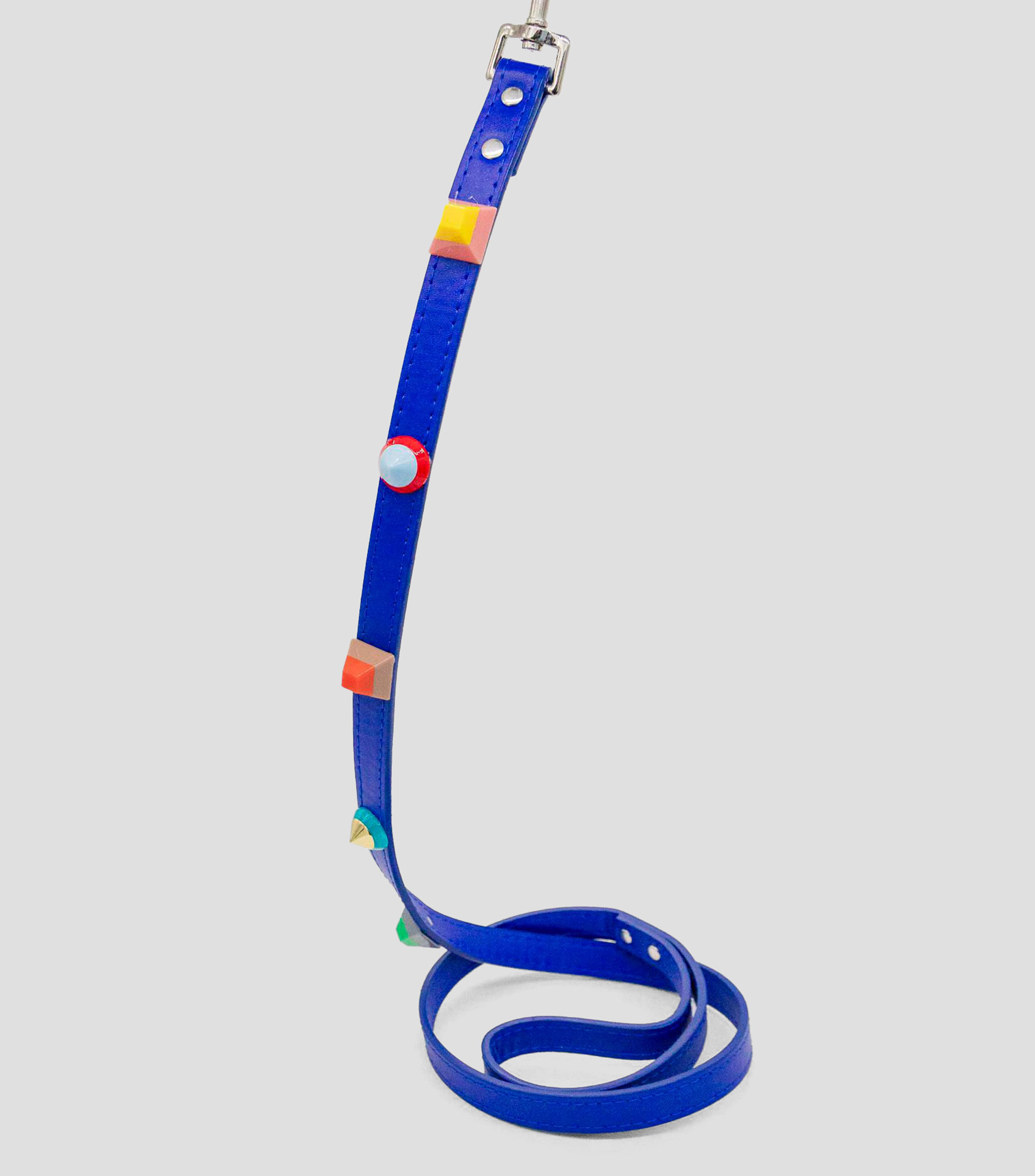 Correa para perro XL Rainbow